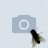 Ivan's profile picture