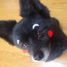 Hiromi's profile picture