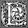 Lizzznature's profile picture