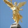Diego M. 的头像