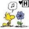 falfans🦜's profile picture
