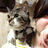 Фото профиля はっきー