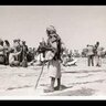 saleh moghni 的头像