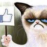 E_wolf profil fotoğrafı