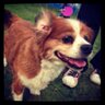 ANDY XU's profile picture