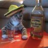 Gruvrider's profile picture