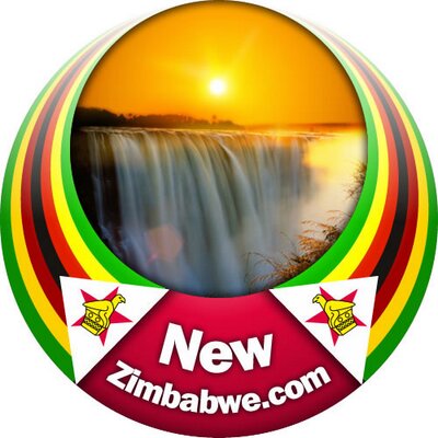 NewZimbabweCom's profile picture