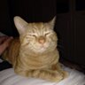 Steven's profile picture