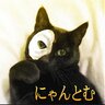 にゃんとむ's profile picture