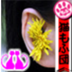 Фото профиля ねこみみ
