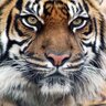 Rahul's profile picture