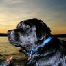 Ben's profile picture