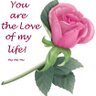 shafiq hanif's profile picture