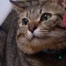 なぉ profil fotoğrafı
