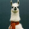 Profilbild von Skratty