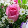 أنسام الهدى profil fotoğrafı
