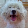 kairu's profile picture