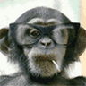 Profilbild von Liquidcyber