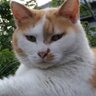鈴木 profil fotoğrafı