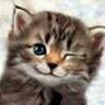 光一@peacemaker's profile picture