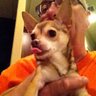 Michael Van Cleave's profile picture