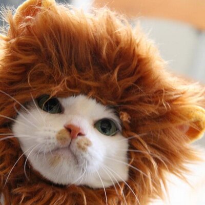 mameK527's profile picture