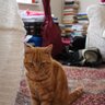 SaNas profil fotoğrafı