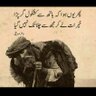mansoor hillaj 的头像