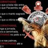 Фото профиля paulo-taffarel