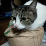 なみ 的头像