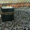 mahmoud malek's profile picture