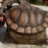 KJ profil fotoğrafı