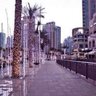 ابو سعود profil fotoğrafı
