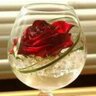 ابو ه ز ا ع's profile picture