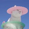 Scenic Presents's profile picture