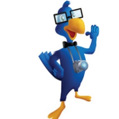 babakus's profile picture
