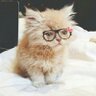 loly's profile picture
