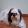julmauper's profile picture
