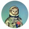 Phillip's profile picture