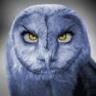 Profilbild von Peter Dadswell