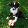 willenlos profil fotoğrafı