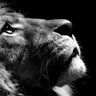 Profilbild von 🦁whiteee🦁🍺🇹🇭