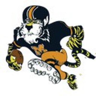 True Tigers's profile picture