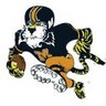 Profilbild von True Tigers