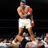 TheBoxer 的头像