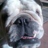 padawan profil fotoğrafı