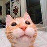 Profilbild von Steven