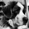 Profilbild von melissa