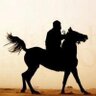 🇮🇶✨AbO Al.HaSsN✨🇮🇶's profile picture