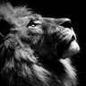 Фото профиля jorge eric cutz cool
